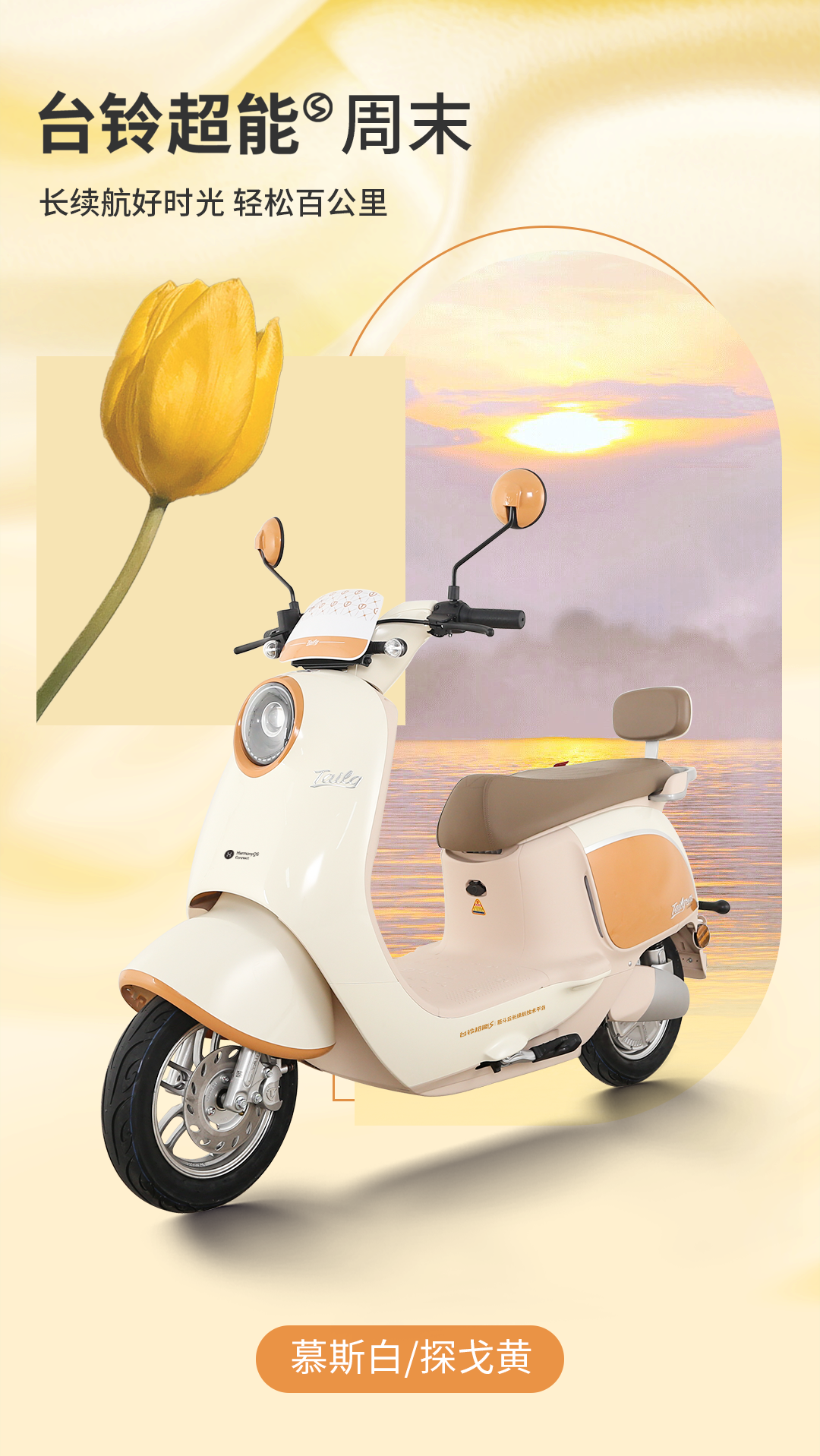 臺(tái)鈴長(zhǎng)續(xù)航電動(dòng)車(chē)