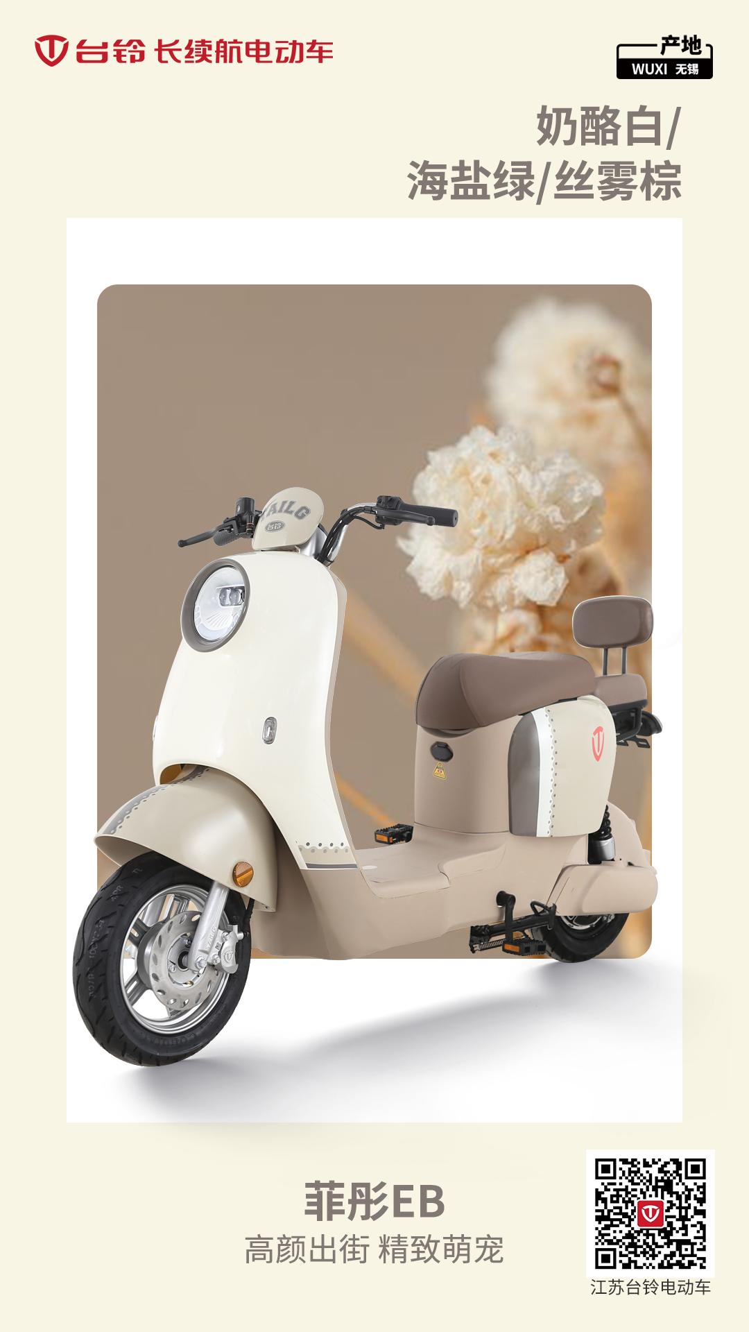 臺鈴長續(xù)航電動車